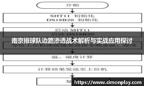 南京排球队边路渗透战术解析与实战应用探讨